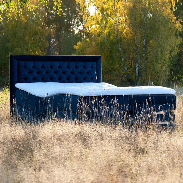 Dorbien Green Extreme Elevation